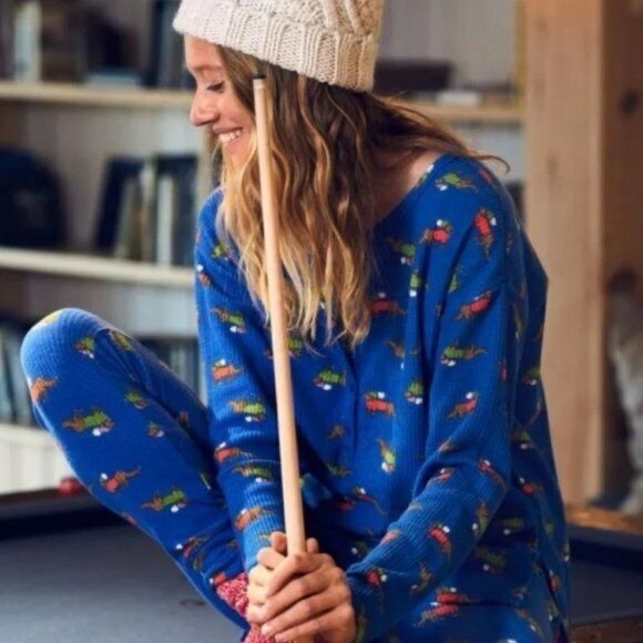 Aerie Waffle Knit Dachshund Pajama Set Pant Top Blue Loungewear Comfy *flawed* - Picture 1 of 11